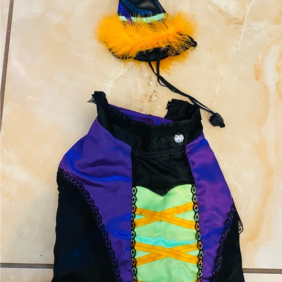 Pet dog witch Halloween costume - Picture 3 of 3
